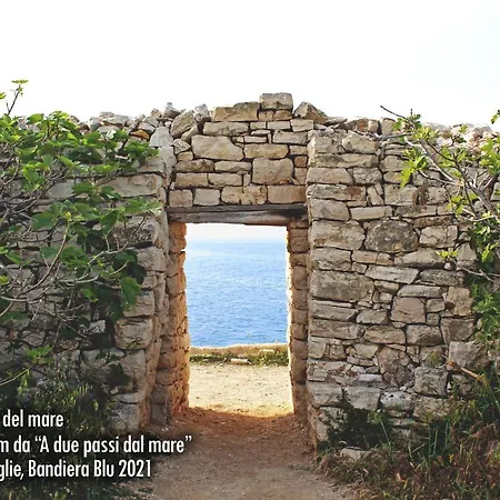 A Due Passi Dal Mare Bisceglie